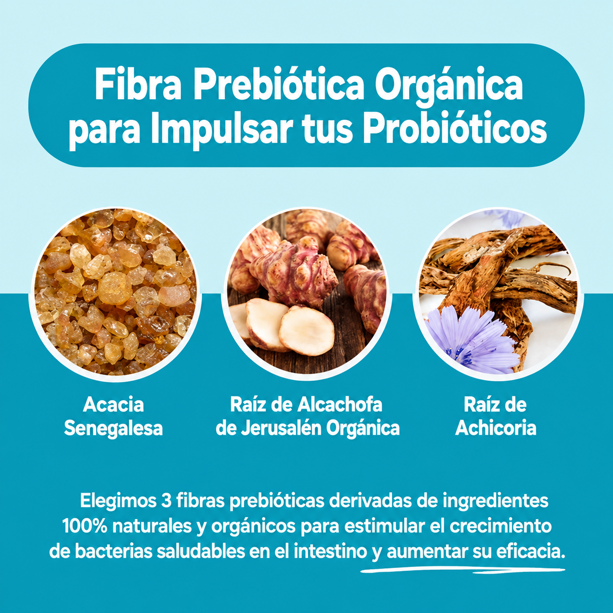 60 Billion Probiotic